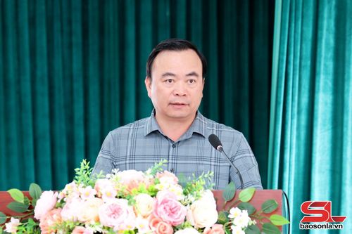 Đồng chí Phó Chủ tịch Thường trực UBND tỉnh phát biểu tại hội nghị.