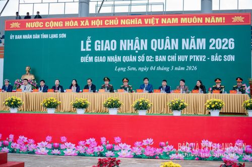 Các đại biểu dự lễ giao nhận quân