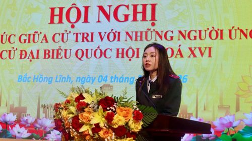 Thanh tra viên Nguyễn Hà My trình bày chương trình hành động
