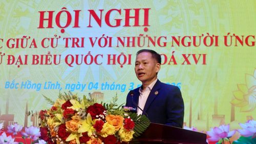 Phó Trưởng đoàn phụ trách Đoàn ĐBQH tỉnh Trần Đình Gia trình bày chương trình hành động
