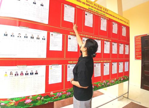 Bà Cấn Thị Tố Anh, Bí thư Chi bộ Tổ dân phố Vực chỉnh trang lại tờ rơi trên bảng niêm yết. Ảnh: Hoàng Quyết