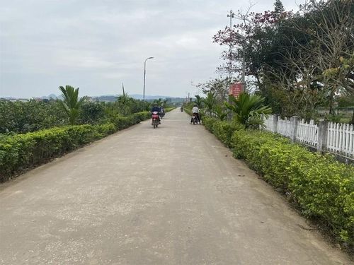Đường vào thôn Đồng Hậu.