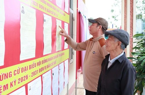 Cử tri tìm hiểu thông tin các ứng cử viên được niêm yết công khai tại khu vực bỏ phiếu trước ngày bầu cử.