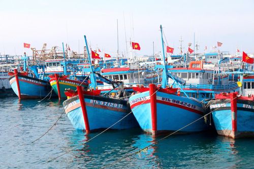 Các tàu, thuyền ở đặc khu Phú Quý đồng loạt thay cờ mới đề chào mừng ngày bầu cử