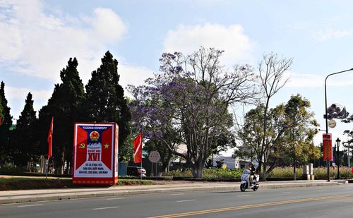 Đường phố Đà Lạt với cờ, biểu ngữ, pano được trang hoàng rực rỡ