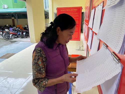 Cử tri tra cứu thông tin và kiểm tra tên trong danh sách niêm yết