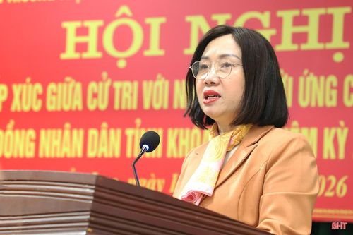 Bà Nguyễn Thị Thúy Nga - Trưởng ban Kinh tế - Ngân sách HĐND tỉnh trình bày chương trình hành động.