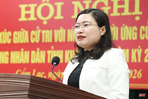 Bà Nguyễn Thị Nguyệt - Phó Chủ tịch UBND tỉnh trình bày chương trình hành động.
