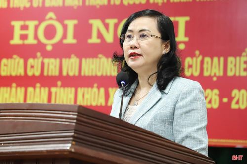 Bà Trương Thanh Huyền - Trưởng ban Tổ chức Tỉnh ủy trình bày chương trình hành động.