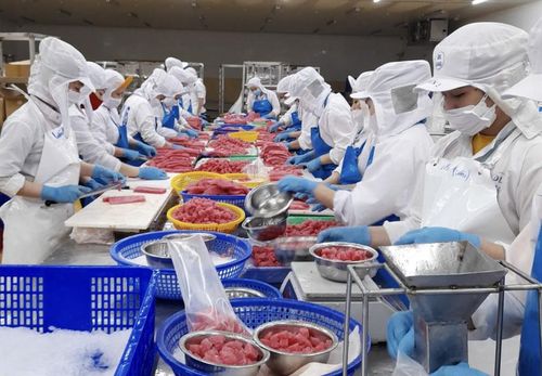 Công ty TNHH Thủy sản An Hải (phường Quy Nhơn Đông) tham gia xuất khẩu thủy sản sang Trung Đông. Ảnh: ĐVCC