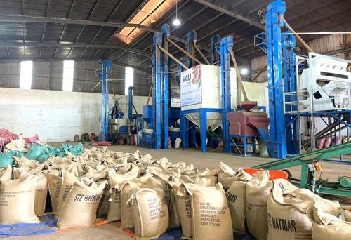 Cà phê là một trong những mặt hàng Gia Lai xuất khẩu sang Trung Đông. Ảnh: V.T