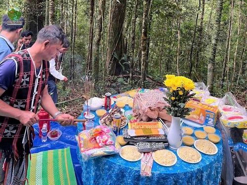 Bà con tổ chức nghi thức cúng rừng pơmu và xin hoãn thời gian tổ chức lễ hội