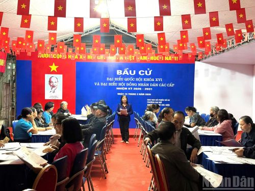  19 giờ tại Hợp tác xã Thống Nhất (phường Đại Mỗ, Hà Nội), bà Đinh Thị Thao, Bí thư chi bộ 5, phường, Tổ trưởng tổ bầu cử số 3, Khu vực bầu cử số 1 cùng các cán bộ cơ sở kiểm đếm thẻ cử tri, sẵn sàng trao tận tay thẻ cử tri đến người dân. 