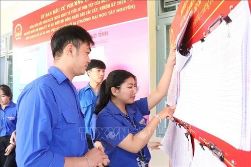 Các sinh viên tại Trường Đại học Tây Nguyên quan tâm tìm hiểu thông tin tiểu sử các ứng cử viên. Ảnh: Nguyên Dung/TTXVN