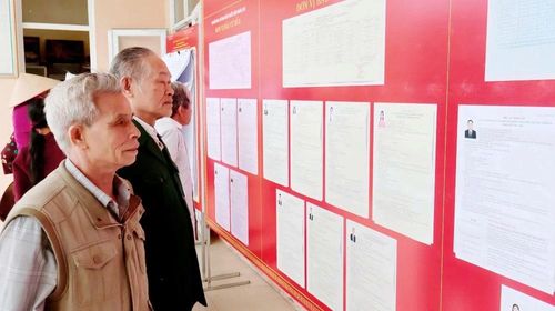 Cử tri tìm hiểu thông tin các ứng cử viên được niêm yết công khai tại khu vực bỏ phiếu số 18.