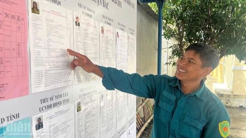 Cử tri xã Thuận Bắc đọc tiểu sử các ứng cử viên được niêm yết tại khu vực bầu cử.