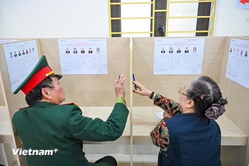  Trước khi bỏ phiếu, cử tri kiểm tra lại thông tin trên phiếu bầu và danh sách người ứng cử được niêm yết tại khu vực bỏ phiếu. (Ảnh minh họa: Minh Sơn/Vietnam+) 