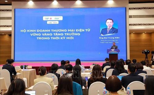 Ông Bùi Trung Kiên, Phó chủ tịch Hiệp hội thương mại điện tử Việt Nam trình bày tham luận "Hộ kinh doanh thương mại điện tử vững vàng tăng trưởng trong thời kỳ mới". Ảnh: Khánh Hòa/TTXVN
