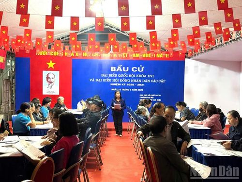 Bà Đinh Thị Thao, Bí thư chi bộ 5 phường Đại Mỗ, Tổ trưởng tổ bầu cử số 3, Khu vực bầu cử số 1 cùng các cán bộ cơ sở kiểm đếm thẻ cử tri, sẵn sàng trao tận tay thẻ cử tri đến người dân.