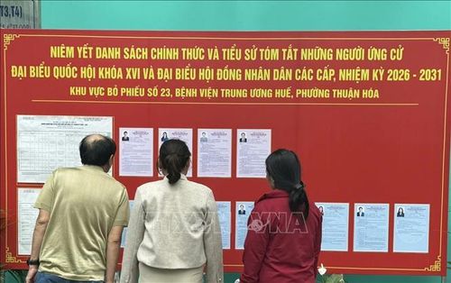 Người nhà và bệnh nhân tìm hiểu thông tin bầu cử tại Bệnh viện Trung ương Huế.