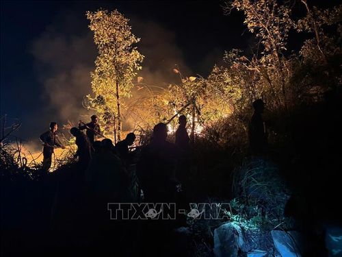 Lực lượng chức năng khống chế đám cháy rừng tại phường Tuần Châu. Ảnh: Văn Đảm/TTXVN phát