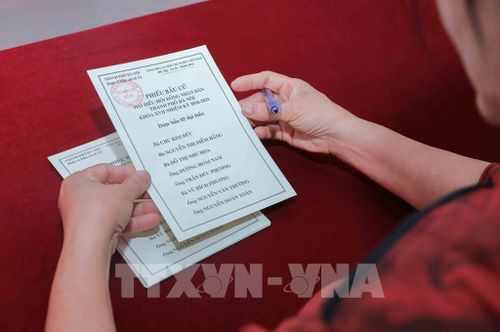 Công tác phân loại phiếu cử tri trước khi phát đến từng hộ dân tại các điểm bầu cử phường Việt Hưng, TP Hà Nội, được triển khai nghiêm túc, đúng quy định, bảo đảm phục vụ tốt ngày bầu cử. Ảnh: Phan Phương – TTXVN