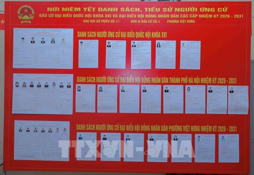 Danh sách cử tri và Quốc hội khóa XVI và đại biểu HĐND các cấp nhiệm kỳ 2026 – 2031 được niêm yết ở vị trí thuận lợi để cử tri tìm hiểu trước khi bỏ phiếu. Ảnh: Phan Phương - TTXVN