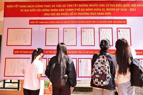 Danh sách cử tri và tiểu sử người ứng cử được niêm yết công khai giúp sinh viên tìm hiểu. Ảnh: Diễm Phúc