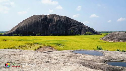Nhiều người ví von Đá chữ thập có hình dáng như một chú voi đang nằm nghỉ. Ảnh: Thủy Tiên