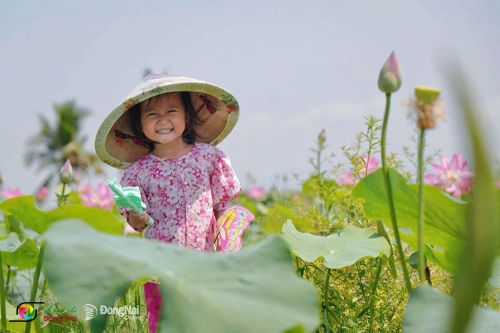 Em nhỏ cười rạng rỡ, chụp hình giữa cánh đồng sen đang nở rộ. Ảnh: Thủy Tiên