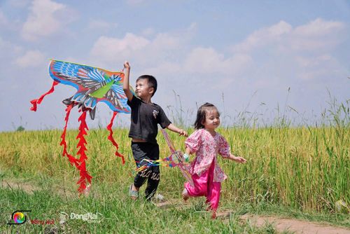 Hai em nhỏ vui đùa, thả diều giữa không gian đồng lúa, tô điểm thêm vẻ bình yên của vùng quê. Ảnh: Thủy Tiên