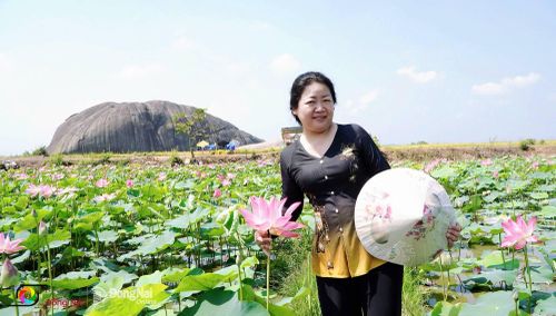 Chị Trần Thị Thảo Trang (xã Tân Phú, tỉnh Đồng Nai) tranh thủ ngày nghỉ để đến chụp ảnh, ngắm sen và tận hưởng vẻ đẹp thanh bình của vùng quê. Ảnh: Thủy Tiên
