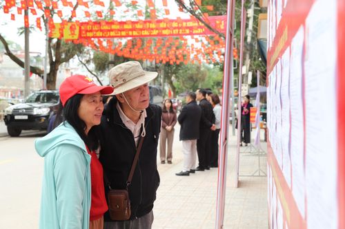Cử tri cao tuổi tìm hiểu thông tin ứng cử viên trước thềm cuộc bầu cử đại biểu Quốc hội và HĐND các cấp để lựa chọn những người xứng đáng.