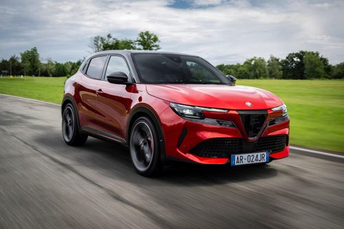 Mẫu SUV cỡ nhỏ Alfa Romeo Milano đã phải đổi tên thành Alfa Romeo Junior vì không đáp ứng được quy định của Italy. Việc chuyển đổi này khiến thương hiệu phải tốn chi phí không nhỏ về quảng bá và điều chỉnh sản phẩm.