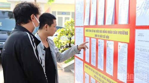  Anh Vũ Đình Lượng tranh thủ thời gian sau giờ làm xem tiểu sử các ứng cử viên. 
