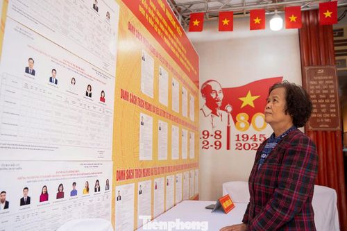 Tại điểm bầu cử này, cử tri sẽ tham gia lựa chọn đại biểu ở ba cấp: 5 ứng cử viên đại biểu Quốc hội, 5 ứng cử viên đại biểu Hội đồng Nhân dân thành phố và 8 ứng cử viên đại biểu Hội đồng Nhân dân phường.
