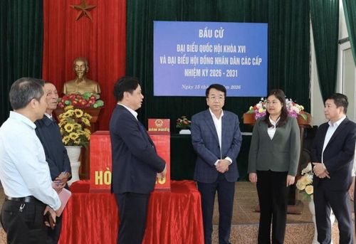 Ông Nguyễn Thanh Bình, Chủ tịch UBND tỉnh Ninh Bình kiểm tra công tác bầu cử tại phường Nam Định. Ảnh: Trần Hồng