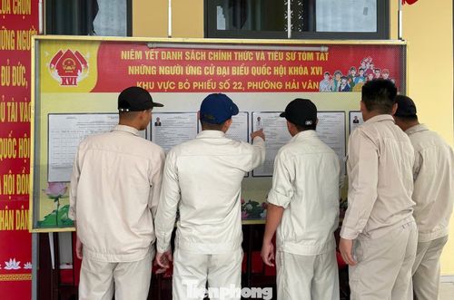 Các học viên xem danh sách cử tri và tiểu sử của các ứng viên.