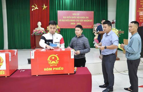 Ủy ban bầu cử tỉnh Thanh Hóa đã thành lập 1.112 đơn vị bầu cử cấp xã, 3.411 khu vực bỏ phiếu với 3.411 tổ bầu cử và 48.329 thành viên tham gia phục vụ công tác bầu cử.