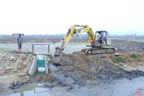Theo khảo sát, vụ tôm xuân - hè năm nay, toàn tỉnh sản xuất trên 2.000 ha tôm thẻ chân trắng,