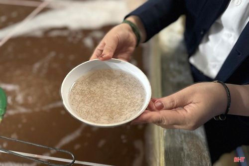 Các cơ sở cần lựa chọn nơi cung ứng giống tôm uy tín, có đầy đủ hồ sơ, chứng từ và kết quả xét nghiệm dịch bệnh.