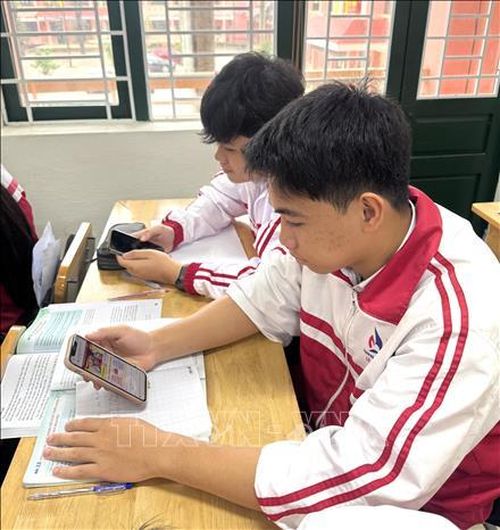 Em Nguyễn Bá Dũng, học sinh lớp 12 chuyên Địa, trường THPT chuyên Lê Quý Đôn, sinh ngày 8/1/2008 tìm hiểu về quy trình bầu cử. Ảnh: Thanh Thủy/TTXVN