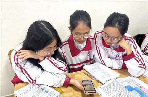 Học sinh lớp 12 chuyên Địa, trường THPT chuyên Lê Quý Đôn tìm hiểu thông tin về quy trình bầu cử. Ảnh: Thanh Thủy/TTXVN