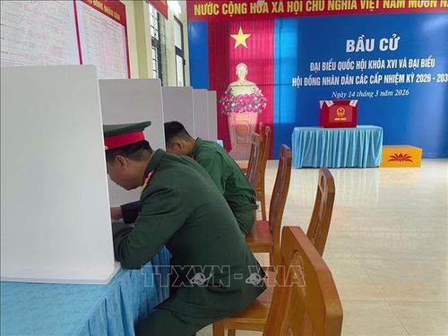 Quân và nhân dân trên đảo tiền tiêu Bạch Long Vĩ tham gia bầu cử sớm. Ảnh: TTXVN phát