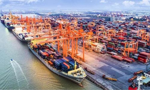 Để giảm thiểu rủi ro, doanh nghiệp cần đa dạng hóa tuyến vận tải và cảng trung chuyển, tránh phụ thuộc hoàn toàn vào một tuyến vận chuyển hoặc một hãng tàu. Ảnh minh họa