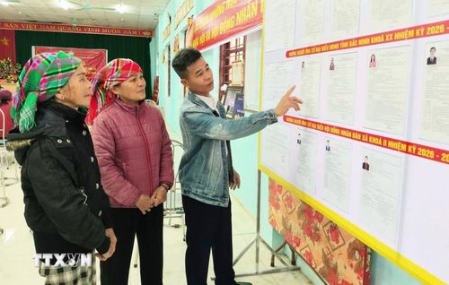 Danh sách và tiểu sử tóm tắt của các ứng cử viên được niêm yết công khai để cử tri tìm hiểu trước khi lựa chọn. (Ảnh: Đồng Thúy/TTXVN)