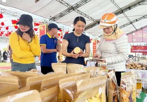 Những cá nhân, hộ kinh doanh trên sàn thương mại điện tử cần mở rộng kênh kết nối và xây dựng khách hàng thực tế để phát triển bền vững hơn. Ảnh: PHAN VINH