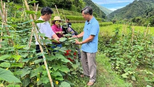  khi chính sách được triển khai đúng hướng sẽ trở thành đòn bẩy quan trọng để người dân phát huy nội lực, chủ động vươn lên phát triển kinh tế. 