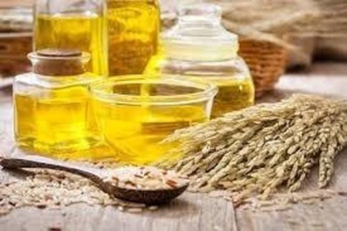 Sản lượng lúa mì của Ấn Độ dự báo đạt mức cao kỷ lục trong năm 2026 nhờ điều kiện thời tiết thuận lợi.