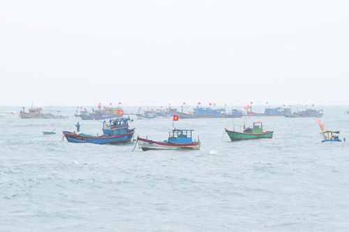 Các tàu thuyền đánh cá của ngư dân phường Quy Nhơn Đông đã về cảng neo đậu, sẵn sàng đi bầu cử